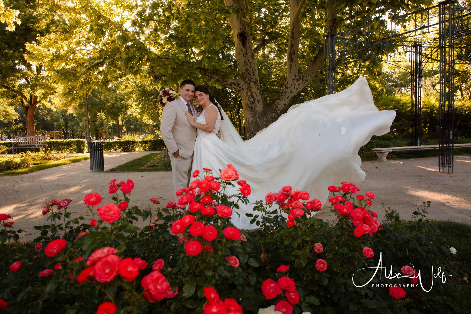 Albawolf Esküvő galéria